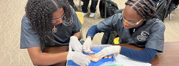 Health Science students during an investigation activity